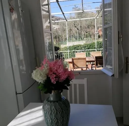 Casa Andreina *